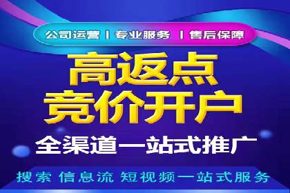 百度竞价推广经典案例解读